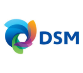 Logo DSM